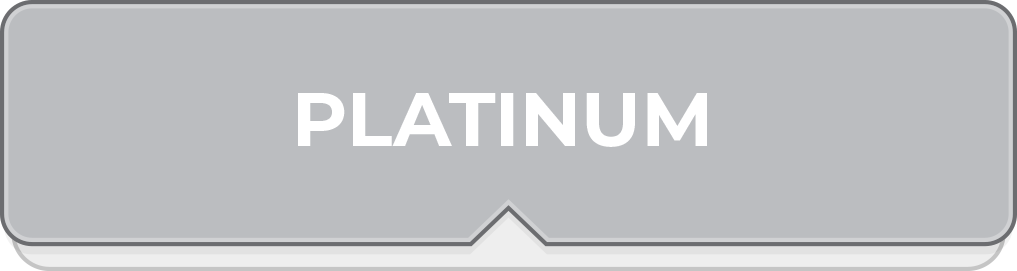 PLATINUM PARTNER